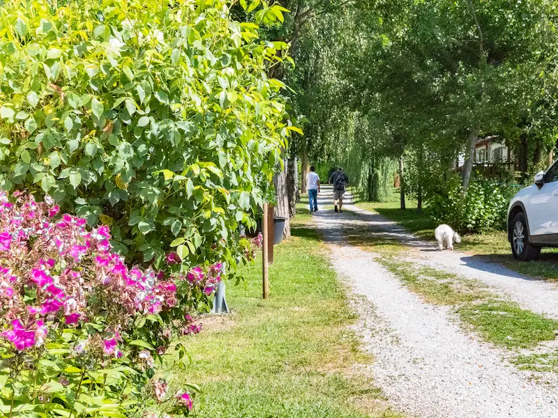 Allée camping en Cerdagne - mobil-homes du Camping Le Robinson à Puigcerda